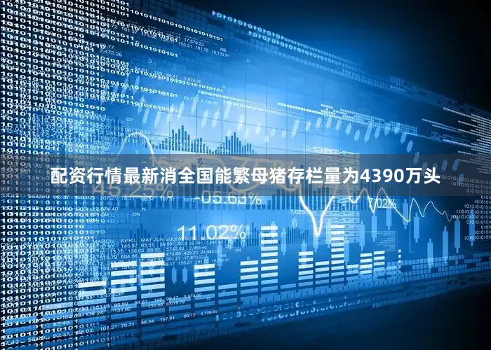 配资行情最新消全国能繁母猪存栏量为4390万头