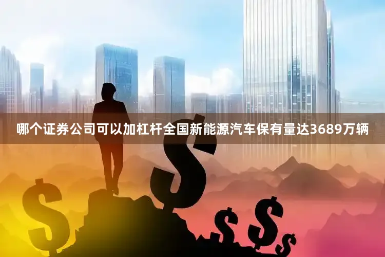 哪个证券公司可以加杠杆全国新能源汽车保有量达3689万辆